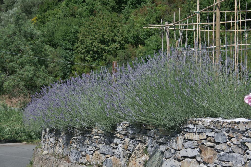Ca De Pria Panzió Casarza Ligure Kültér fotó